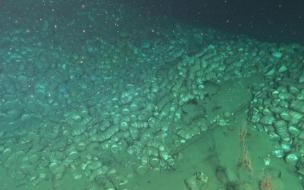 南海一号古沉船有多大 南海发现两处古代沉船