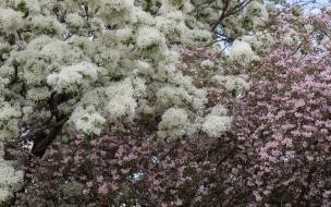 5月1号法定节假日几天 5.1放假几天国家规定